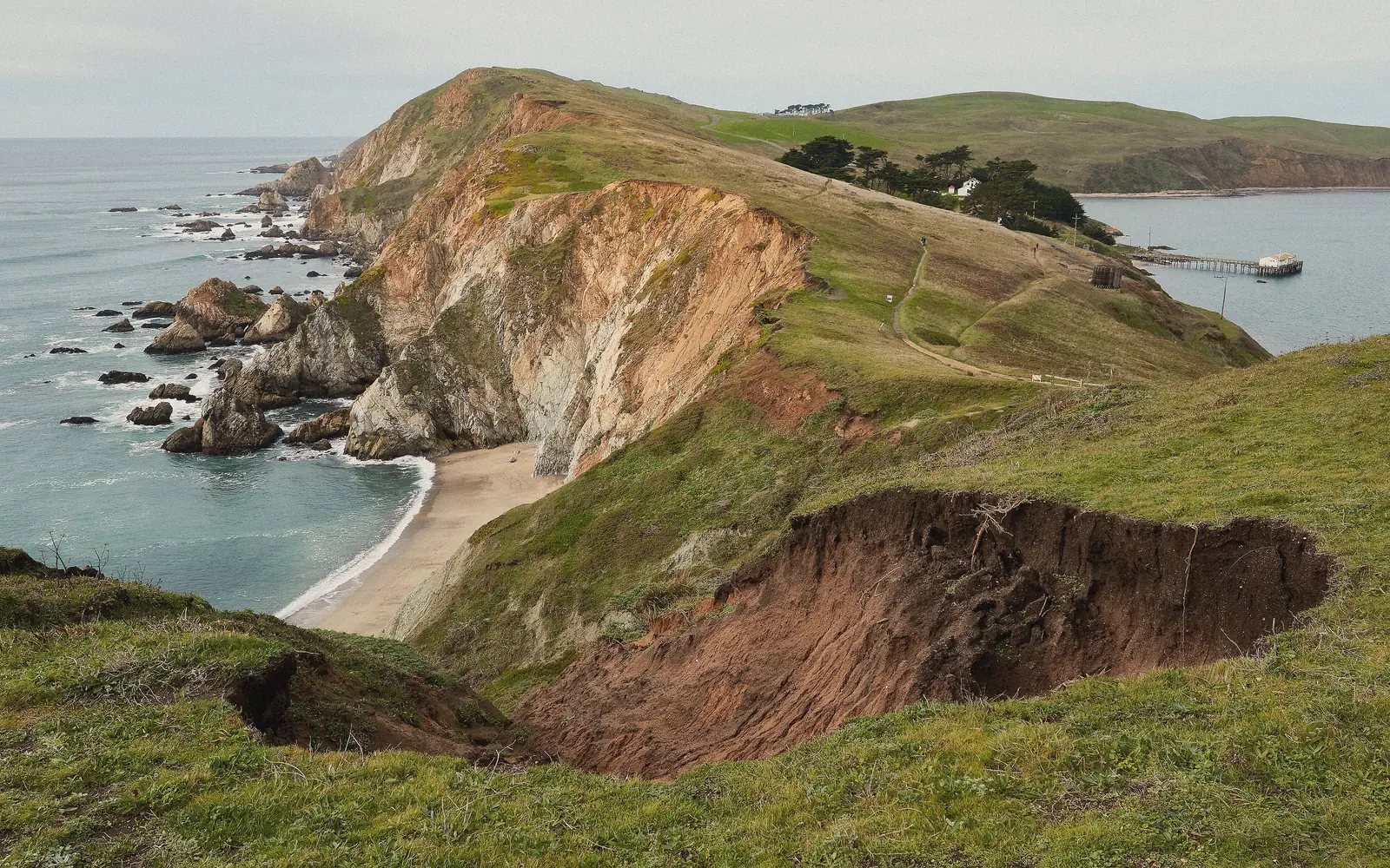 Photo of green headlands and a sandy cove seen from Chimney Rock at Point Reyes